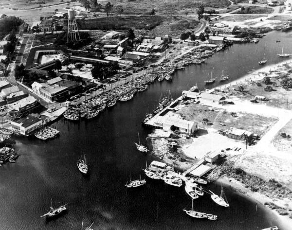 An aerial view of a river bend crowded with dozens of moored sponge boats along the docks of a small waterfront town, a water tower rising behind the warehouses.